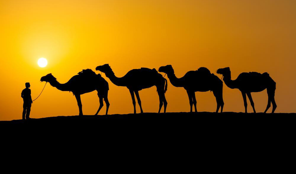 evening-dubai-desert-safari-1667479797.jpg
