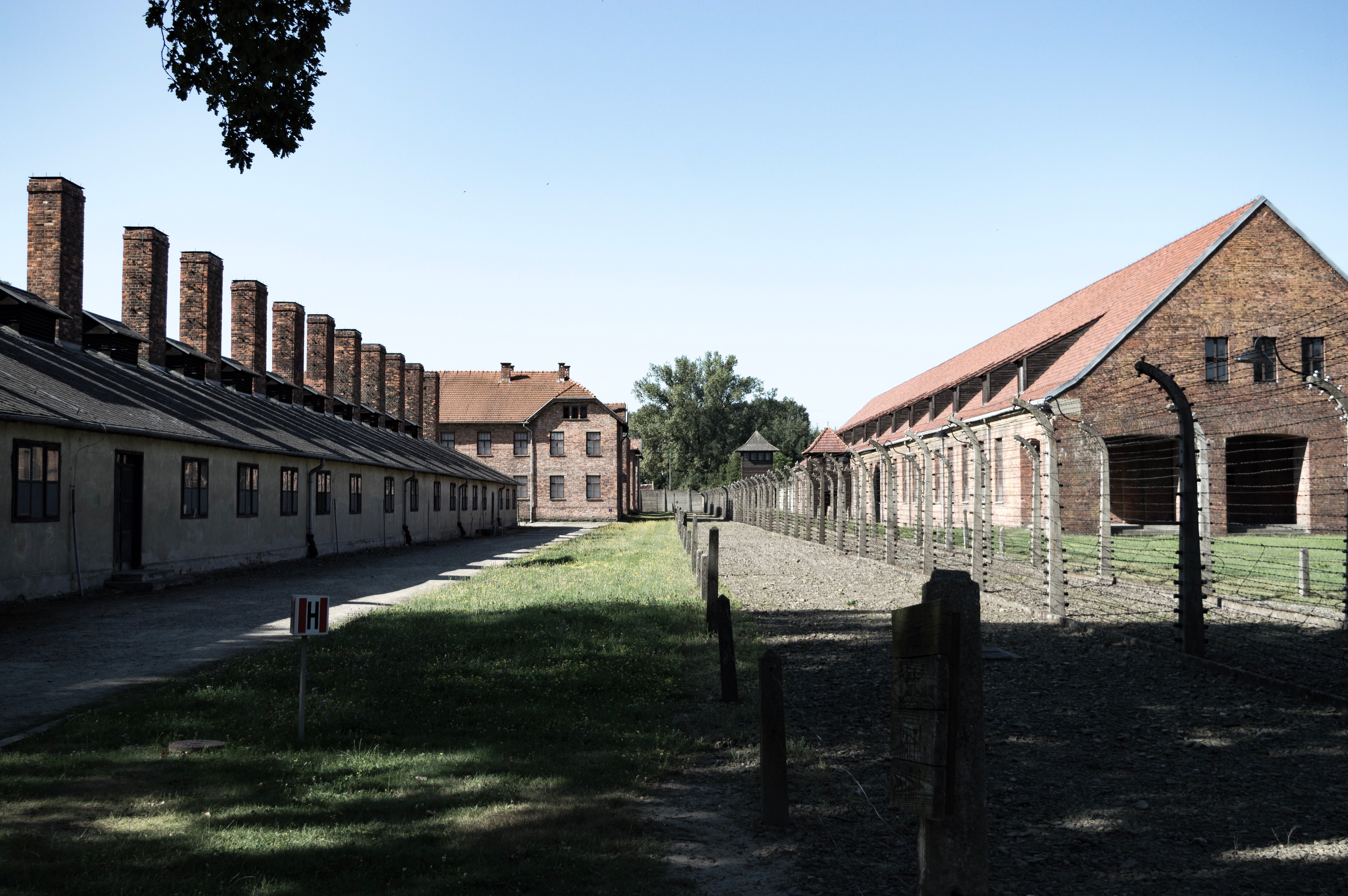 Auschwitz-unspl.jpg