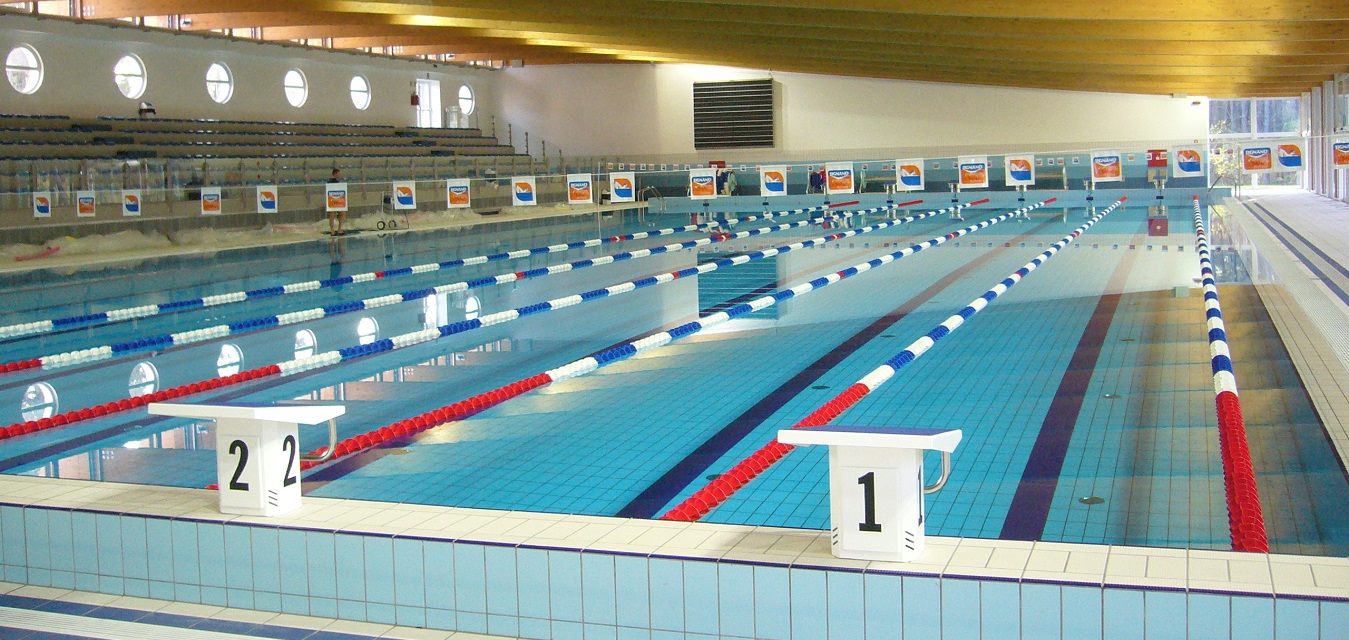 swimming-training~lignano.jpg