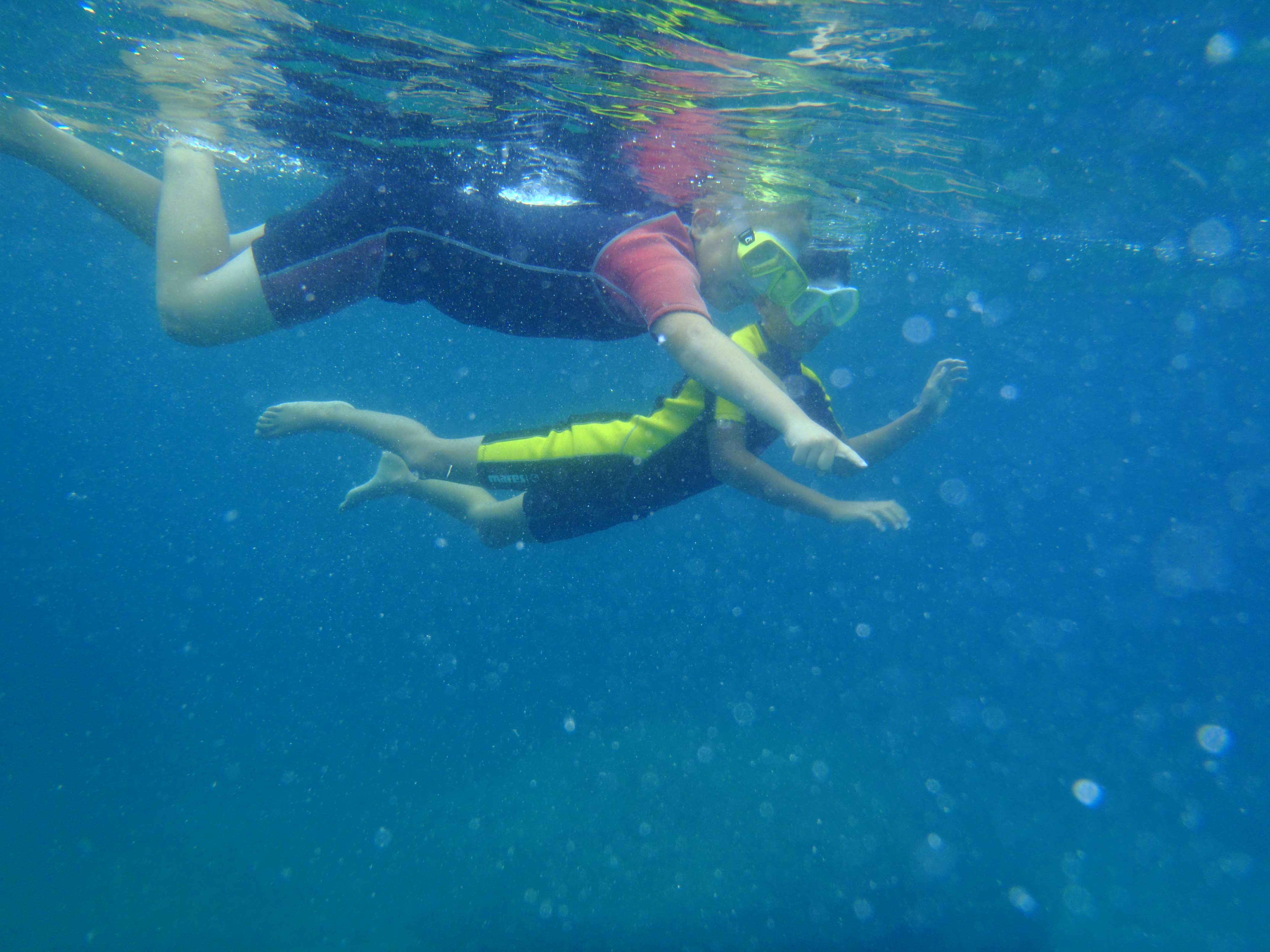 Snorkeling.jpg