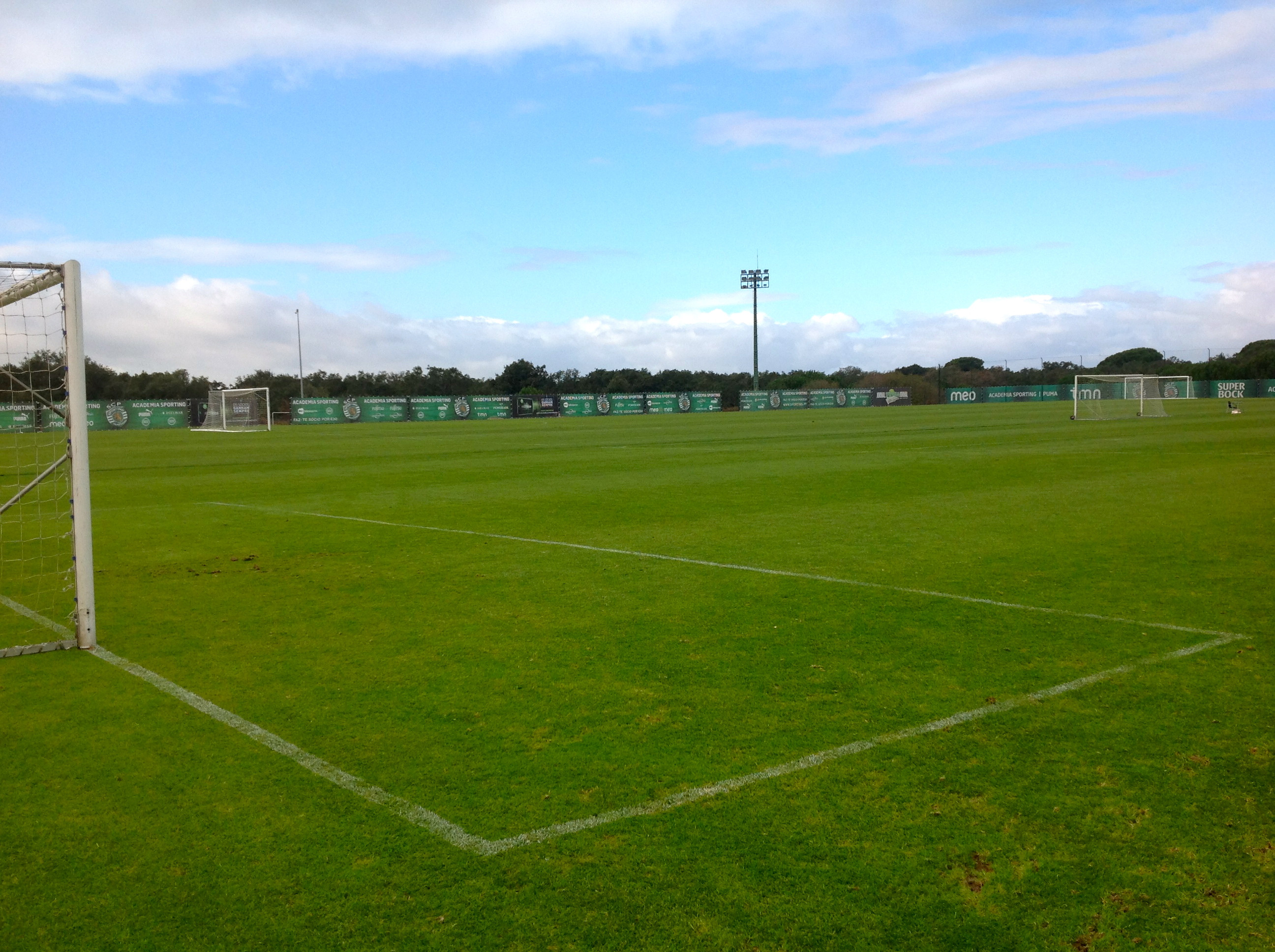 Sporting-fields-5.JPG