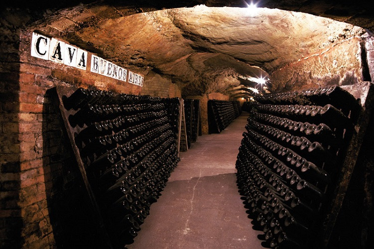 cava-wine-barcelona.jpg