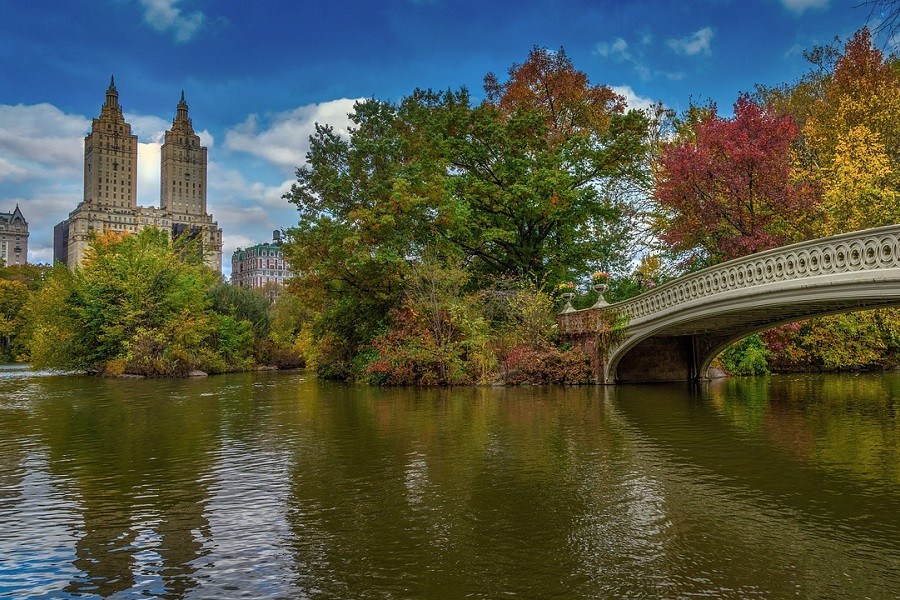 central-park-new-york-4697355_1280.jpg