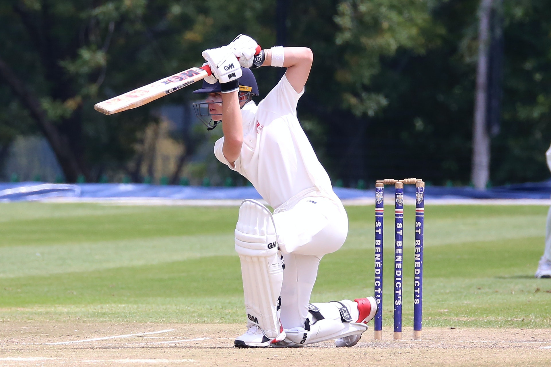 cricket-pexels-patrick-case-3800517.jpg