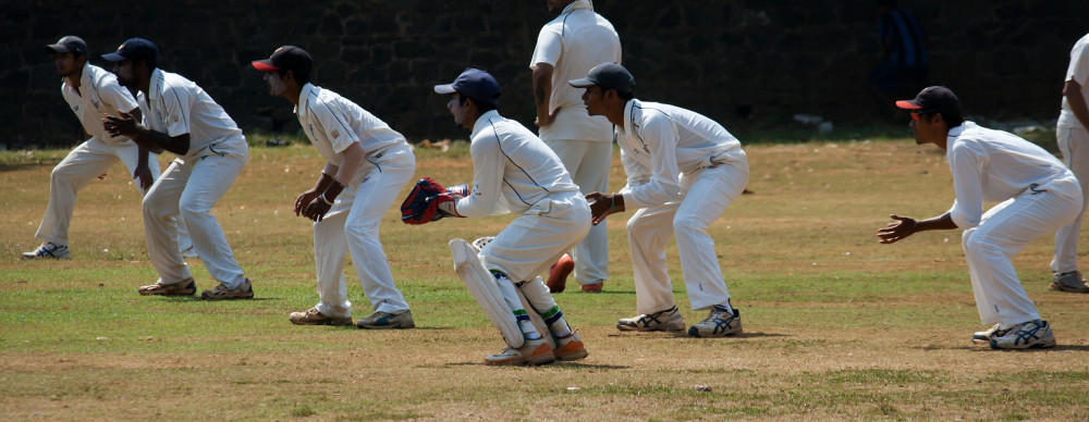 cricket-slips-390558_1920.jpg