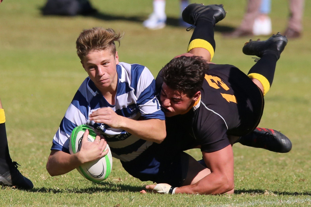 rugby-4773743_1920.jpg