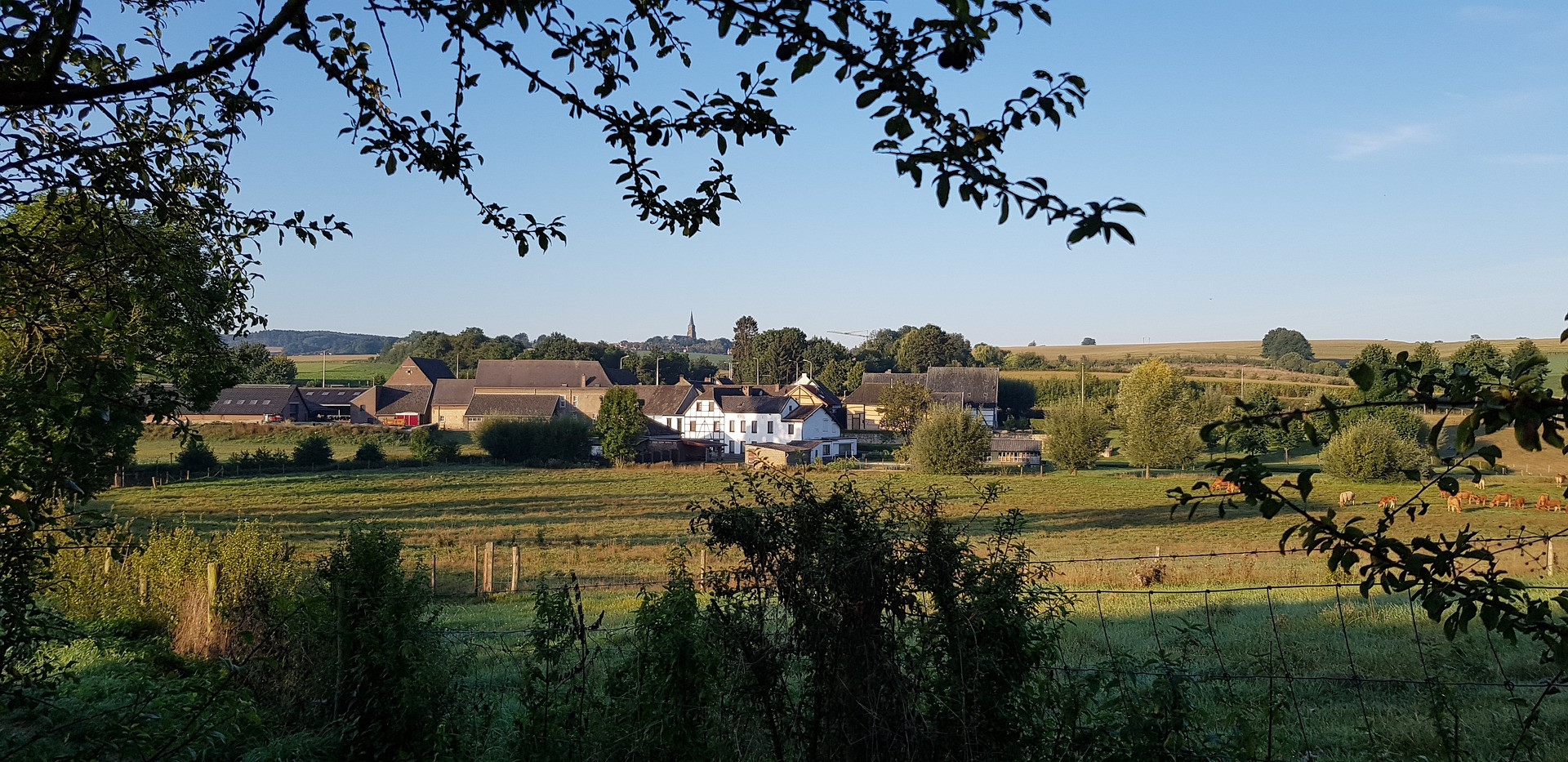 south-limburg-4449305_1920.jpg