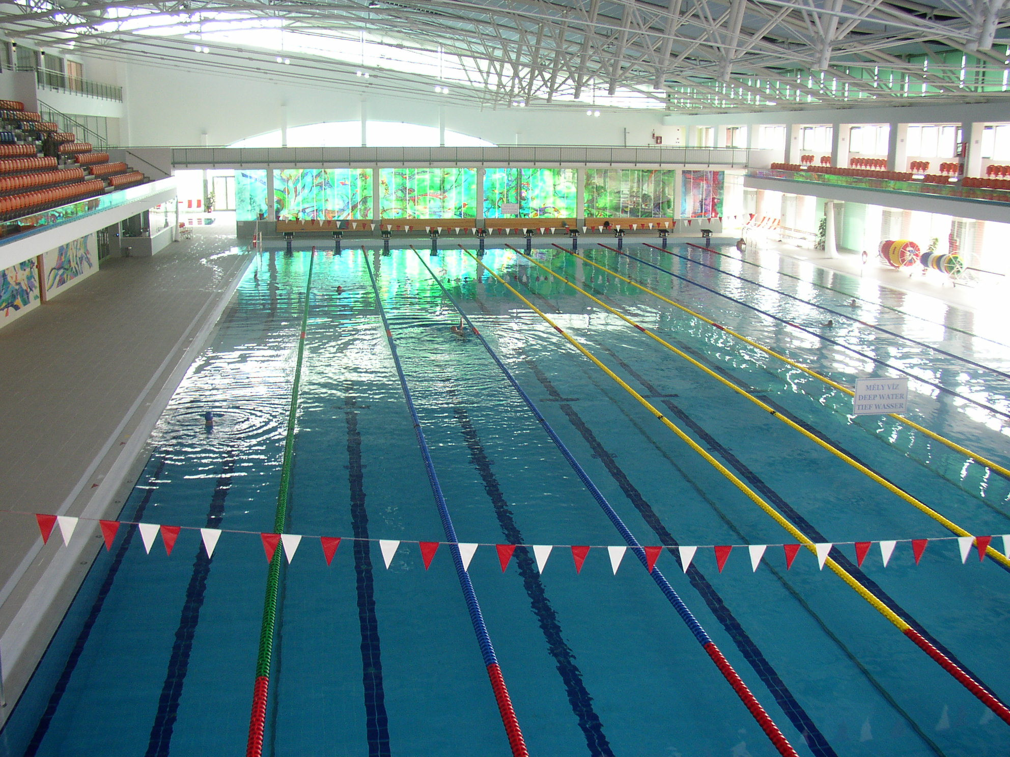 swim-debrecen-uszi-2.jpg