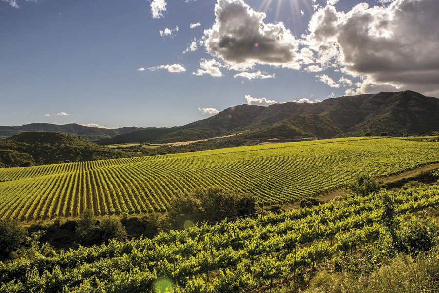 torres-winery-1.jpg
